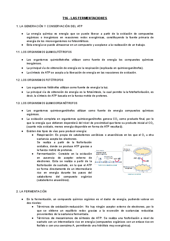 Miniatura del documento T16-MIC-El-Catabolismo-Las-Fermentaciones.pdf