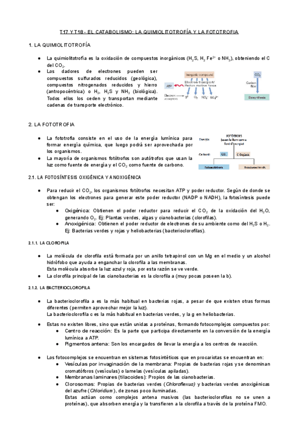 Miniatura del documento T17-y-T18-MIC-El-Catabolismo-La-Quimiolitotrofia-Y-La-Fototrofia.pdf