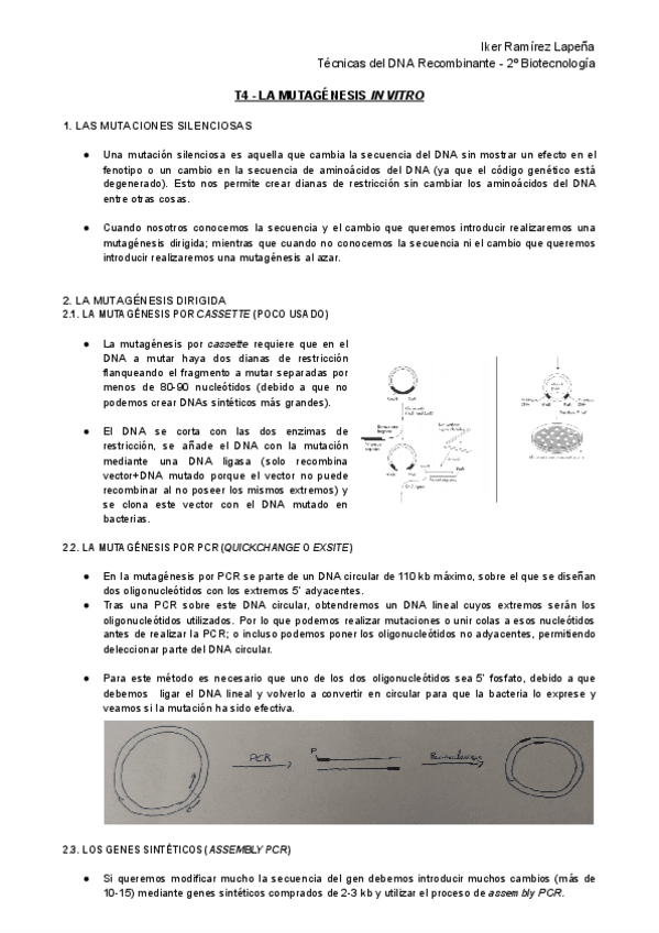 Miniatura del documento T4-TDR-La-Mutagenesis-In-Vitro.pdf