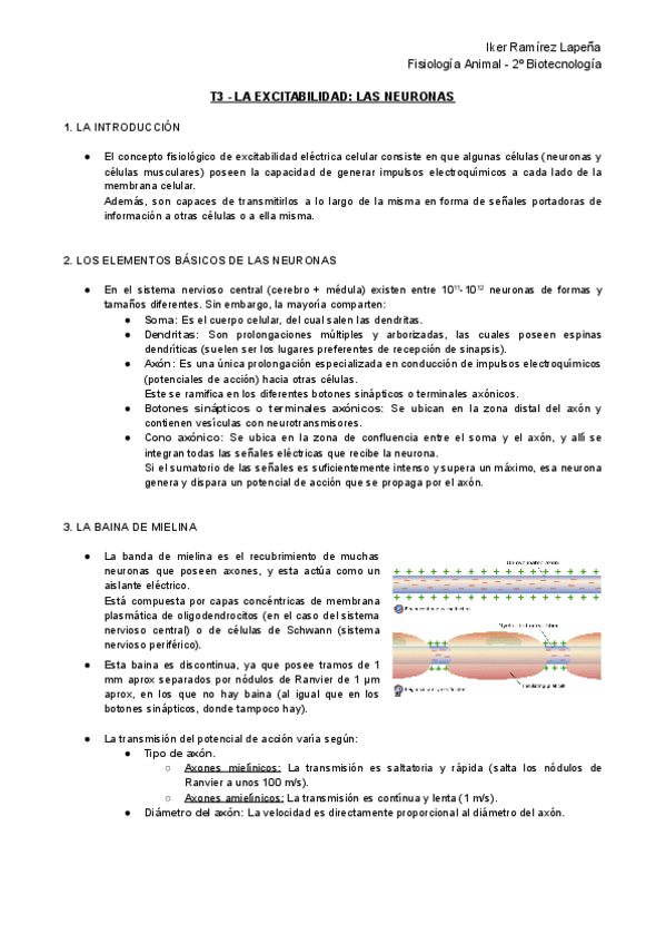Miniatura del documento T3-FA-La-Excitabilidad-Las-Neuronas.pdf