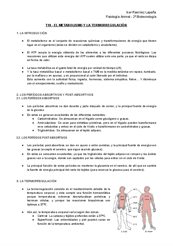 Miniatura del documento T10-FA-El-Metabolismo-y-la-Termorregulacion.pdf