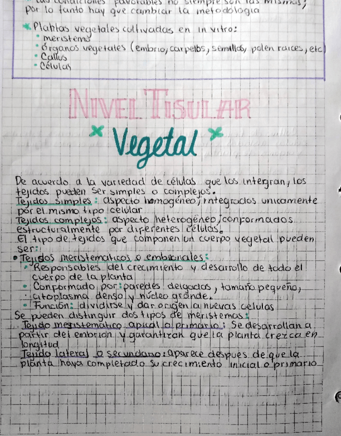 Miniatura del documento NIVEL-TISULAR-VEGETAL-ANIMAL.pdf