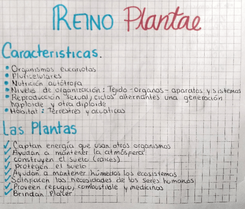 Miniatura del documento REINO-PLANTAE.pdf