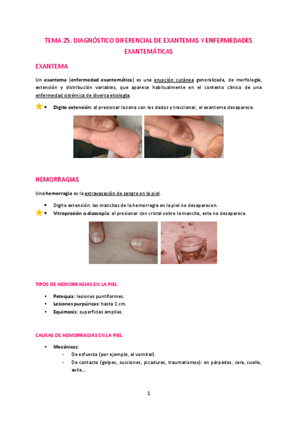 Miniatura del documento T25-Diagnostico-diferencial-de-exantemas-y-enfermedades-exantematicas.pdf