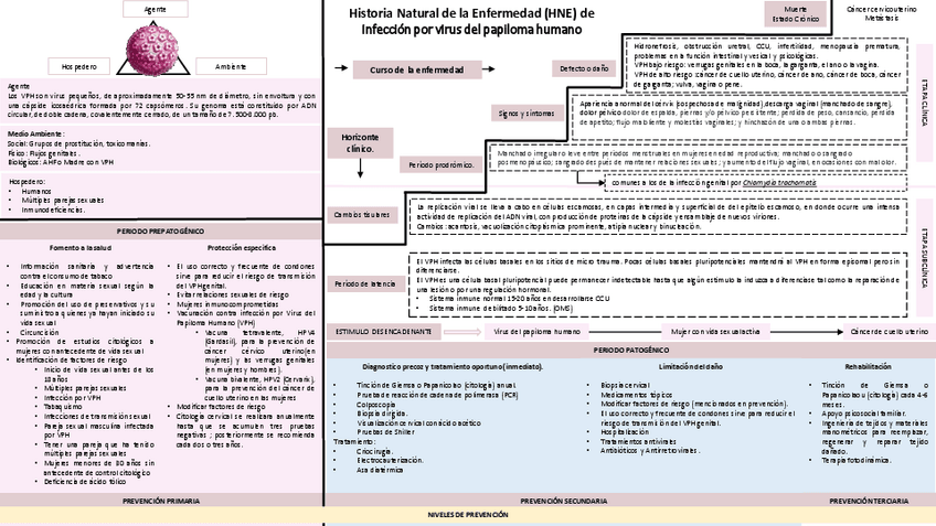 Miniatura del documento Historia-Natural-de-la-Enfermedad-VPH-.pdf