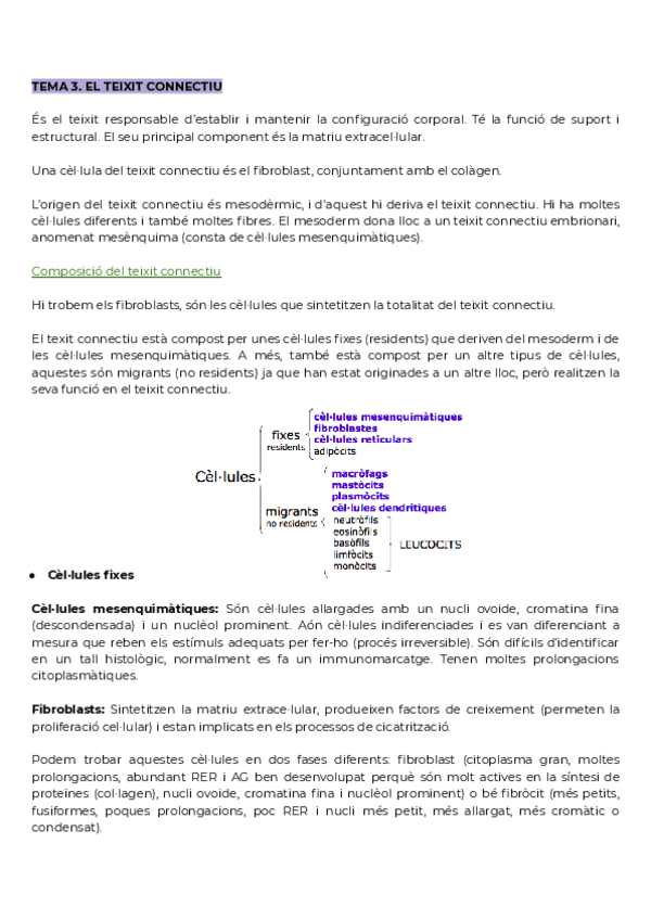 Miniatura del documento Tema-3.pdf