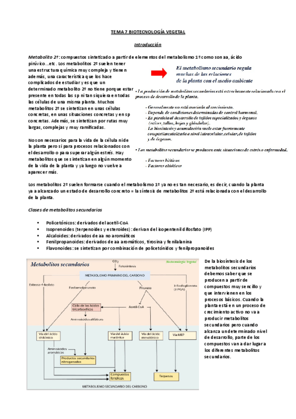 Miniatura del documento Tema-7.pdf