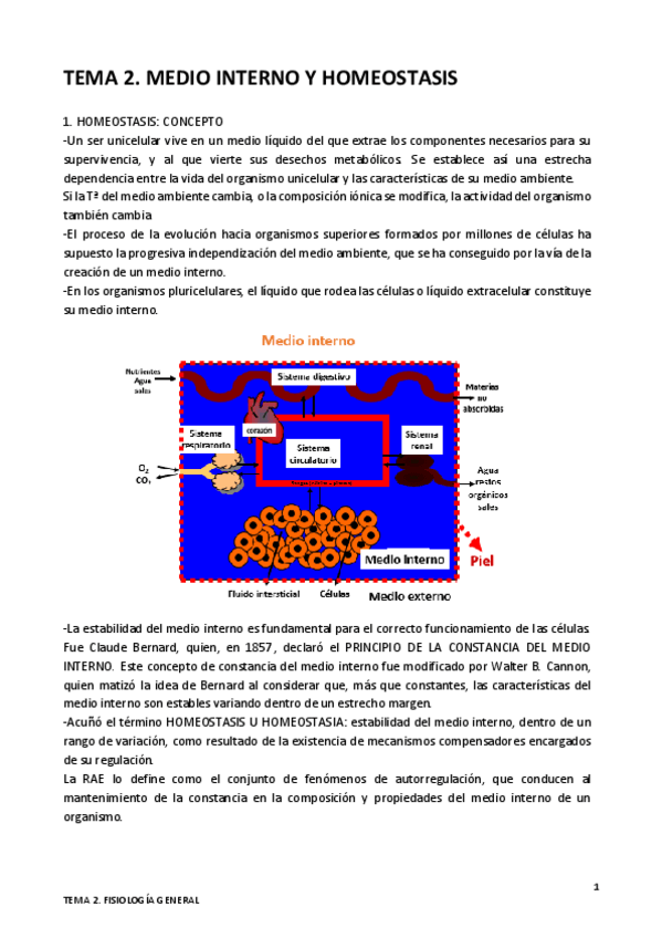 Miniatura del documento TEMA-2.MEDIO INTERNO Y HOMEOSTASIS. pdf