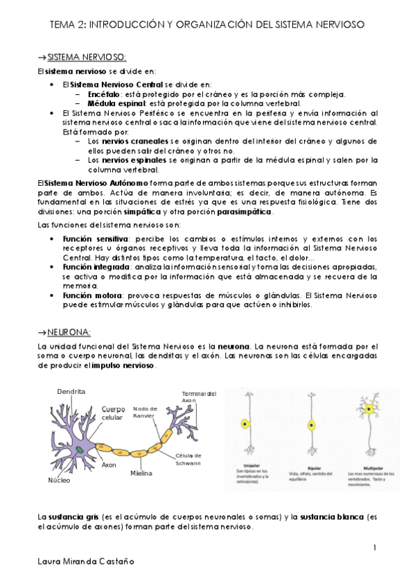 Miniatura del documento Tema 2. Introducción y organización del sistema nervioso.pdf