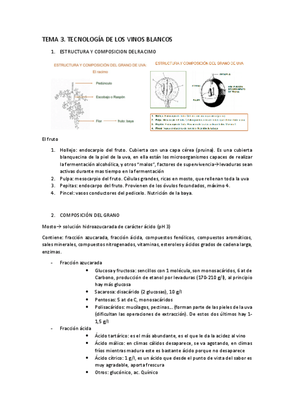 Miniatura del documento TEMA-3-TECNOLOGIA-DE-LOS-VINOS-BLANCOS.pdf