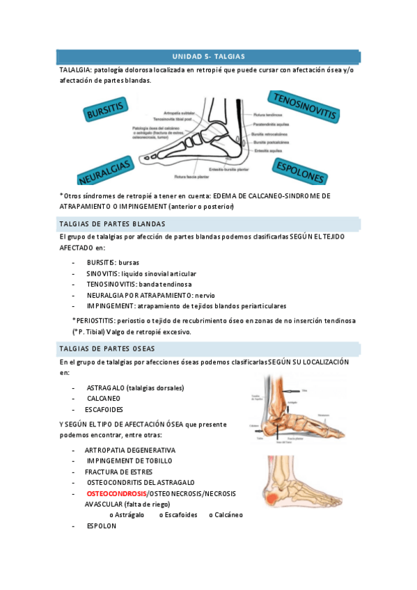 Miniatura del documento PP-U5-completa.pdf