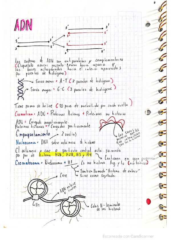 Miniatura del documento ADN-biologia.pdf