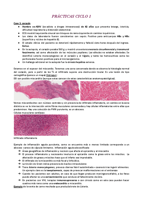 Miniatura del documento CASOS-PRIMER-CICLO.pdf