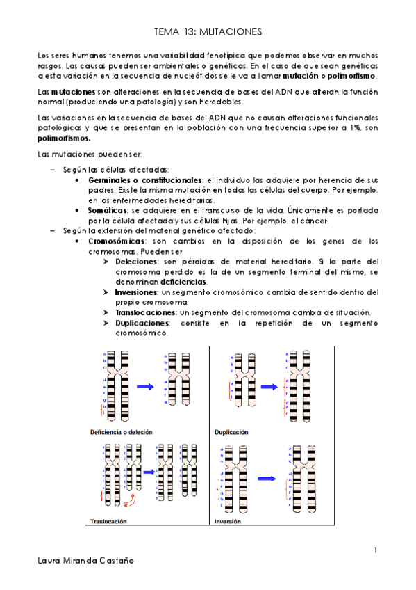 Miniatura del documento Tema 13. Mutaciones.pdf