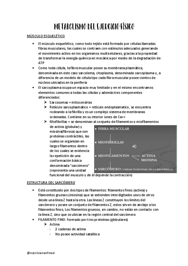 Miniatura del documento METABOLISMO-DEL-EJERCICIO-FISICO.pdf