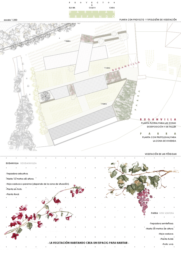 Miniatura del documento 05.jpg