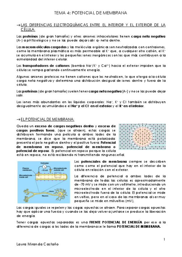 Miniatura del documento Tema 4. Potencial de membrana.pdf