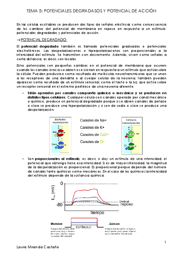 Miniatura del documento Tema 5. Potenciales degradados y potencial de acción.pdf