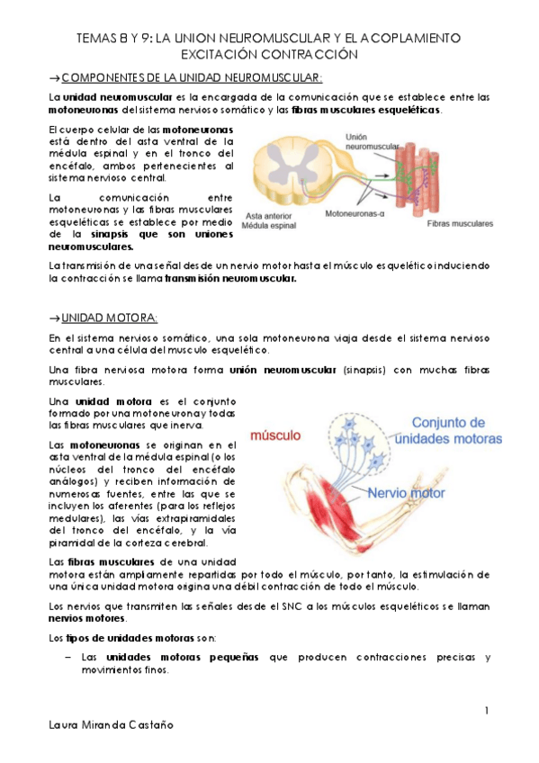 Miniatura del documento Tema 8 y 9. La unión neuromuscular y el acoplamiento excitacion contracción.pdf