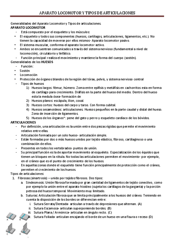 Miniatura del documento Aparato locomotor y tipos de articulaciones.pdf