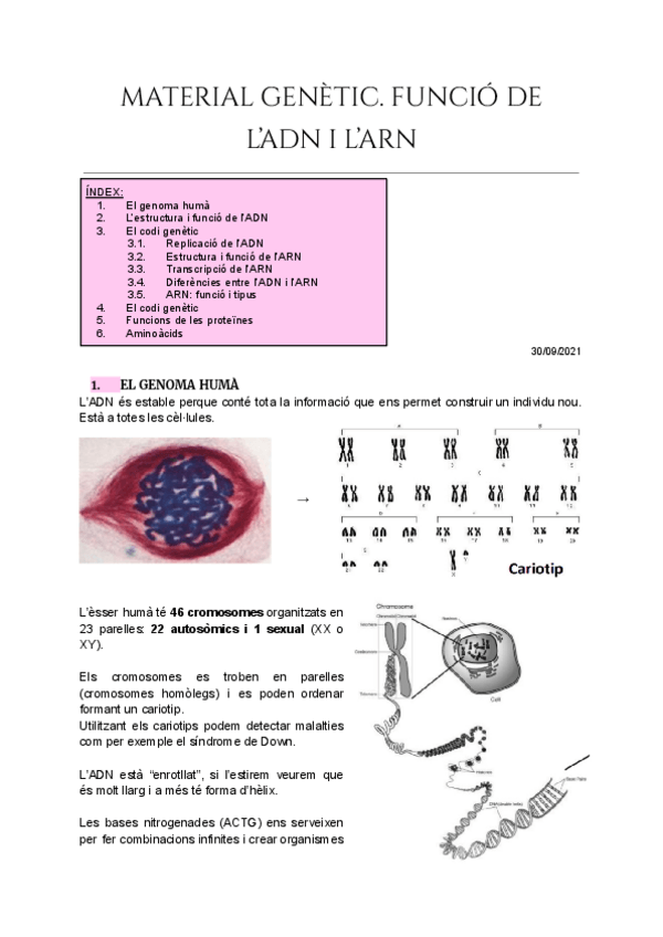 Miniatura del documento Tema-1-Material-Genetic.pdf
