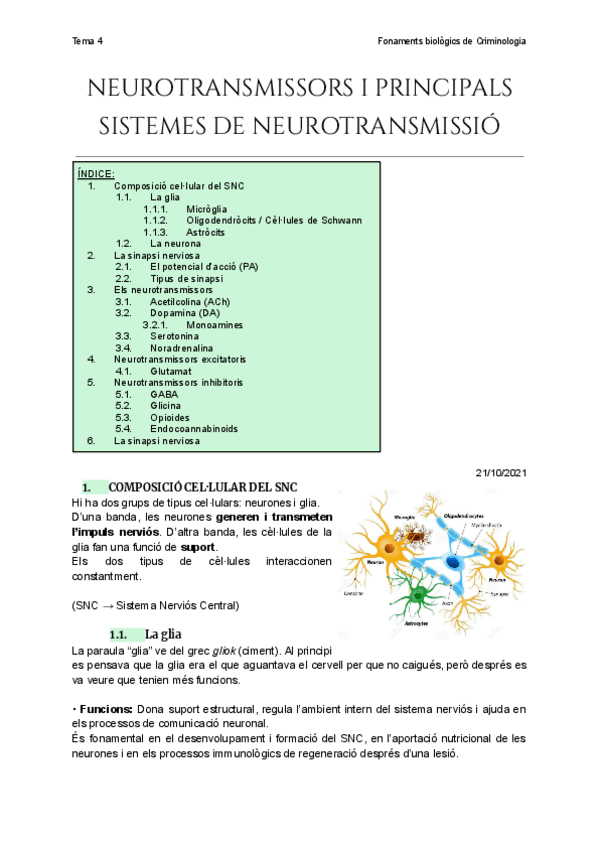 Miniatura del documento Tema-4-Neurotransmissors-i-principals-sistemes-de-neurotransmissio.pdf