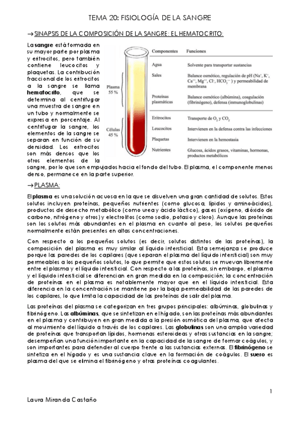 Miniatura del documento Tema 20. Fisiología de la sangre.pdf