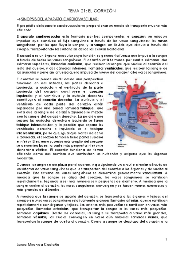 Miniatura del documento Tema 21. El corazón.pdf