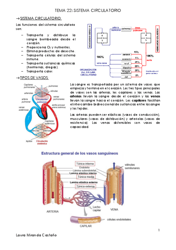 Miniatura del documento Tema 22. Sistema circulatorio.pdf
