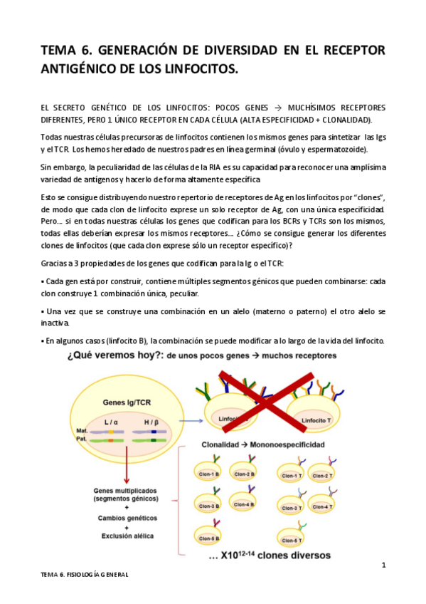 Miniatura del documento TEMA-6.pdf