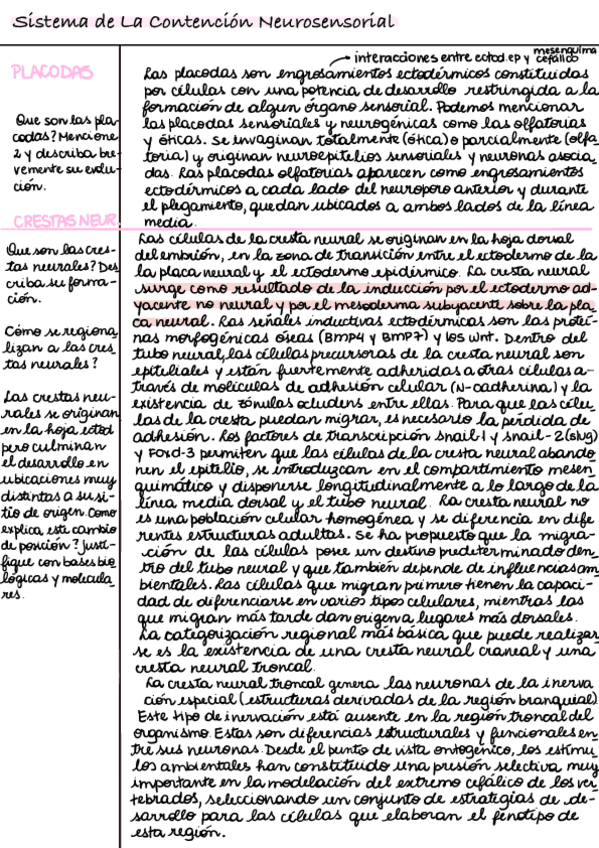 Miniatura del documento Aparato-de-contencion-neurosensorial.pdf