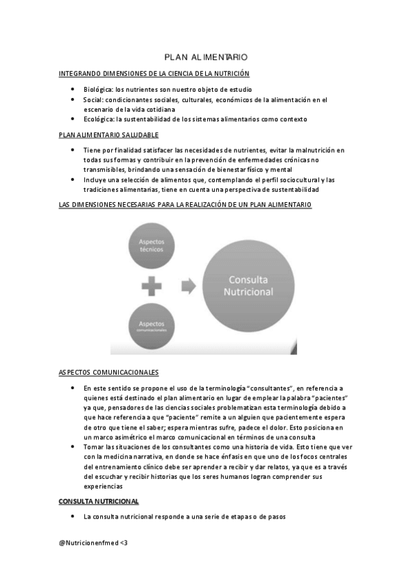 Miniatura del documento PLAN-ALIMENTARIO.pdf