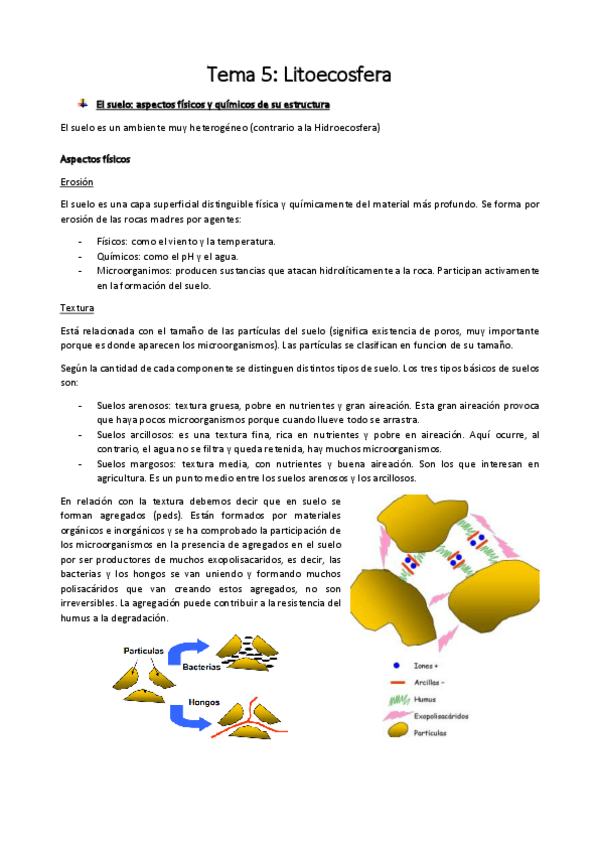 Miniatura del documento Tema 5