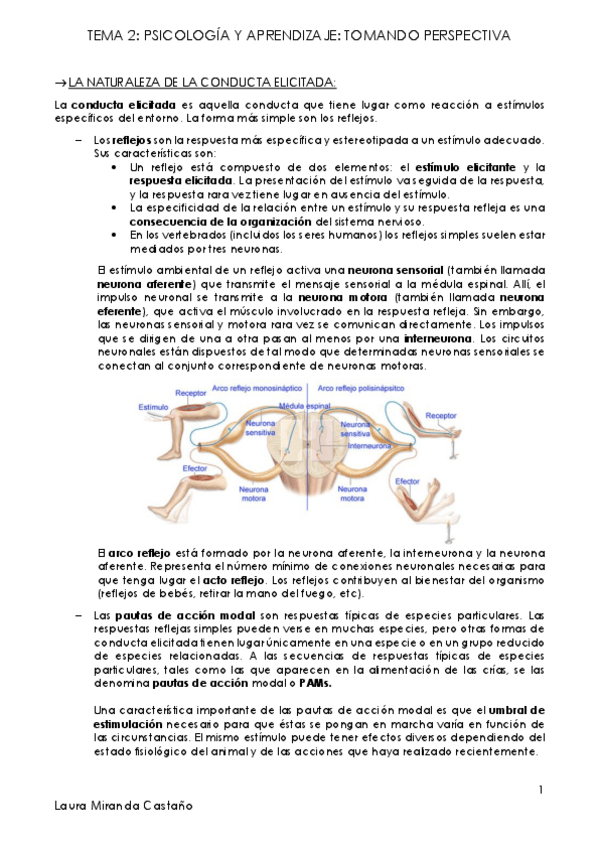 Miniatura del documento Tema 2. Psicología y aprendizaje. Tomando perspectivas.pdf