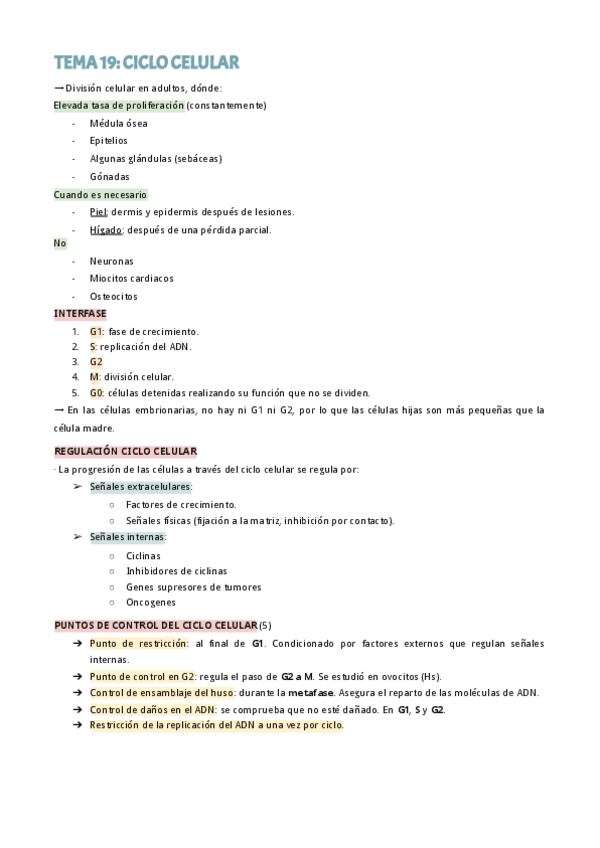 Miniatura del documento T19-CICLO-CELULAR.pdf