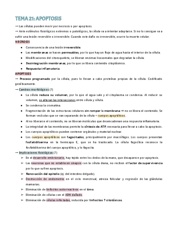 Miniatura del documento T21-APOPTOSIS-1.pdf