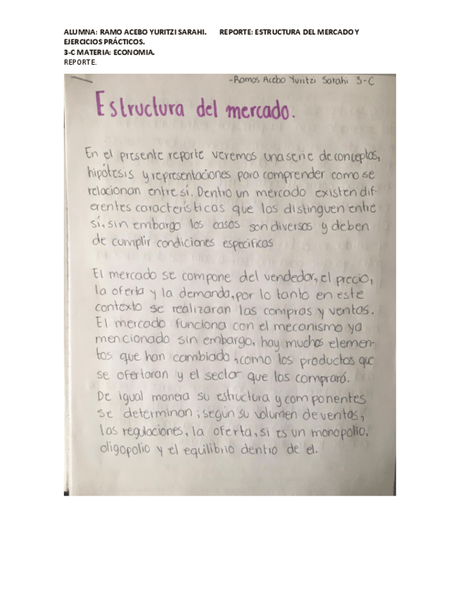 Miniatura del documento ESTRUCTURA-DEL-MERCADO-REPORTE.pdf