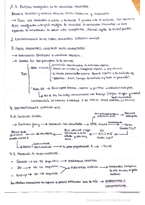 Miniatura del documento Resumen-tema-1-parte-2.pdf