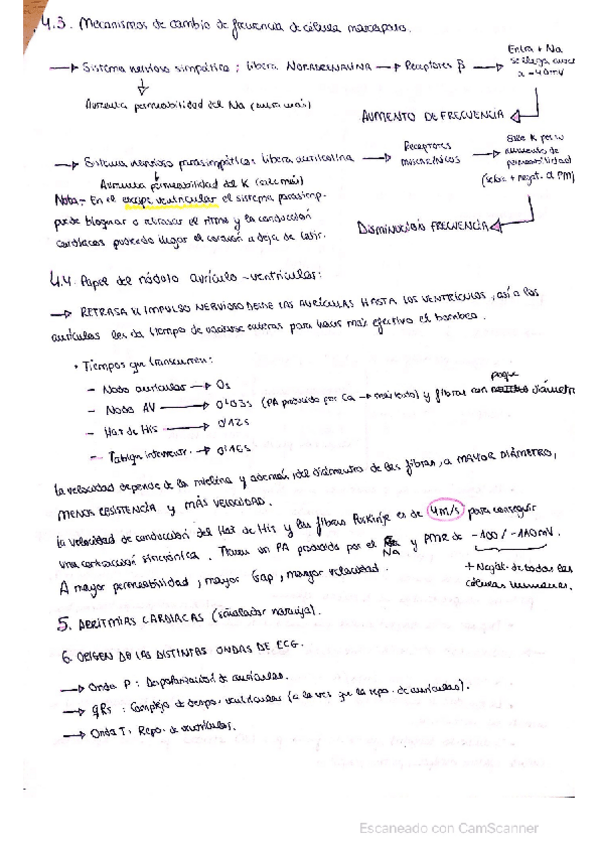 Miniatura del documento Resumen-tema-1-parte-3.pdf