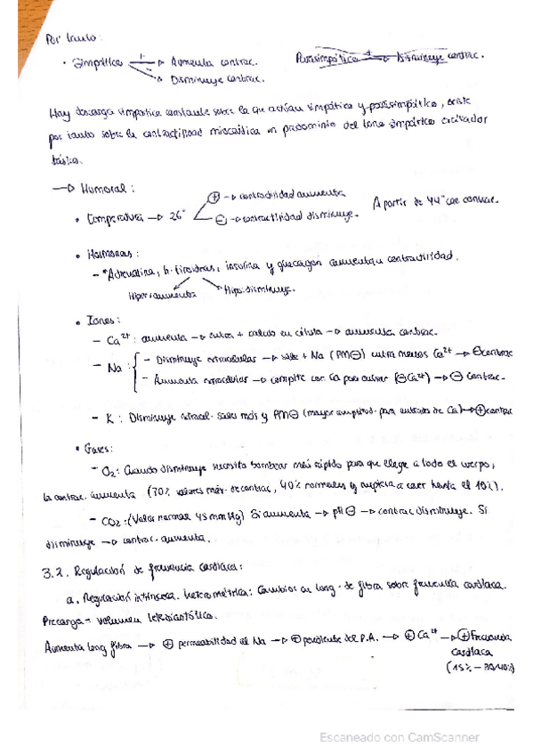 Miniatura del documento Resumen-tema-3-parte-3.pdf