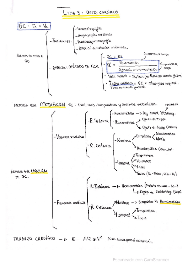 Miniatura del documento Esquema-tema-3.pdf