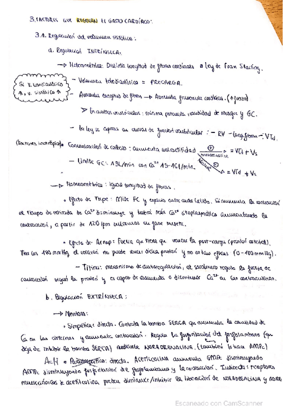 Miniatura del documento Resumen-tema-3-parte-2.pdf
