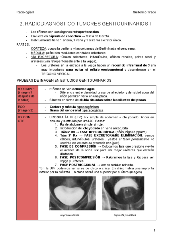 Miniatura del documento T2-Radiodiagnostico-en-tumores-genitourinarios-1-1.pdf