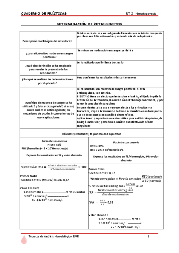 Miniatura del documento FICHA-PRACTICAS-TEMA-2-Reticulocitos.pdf