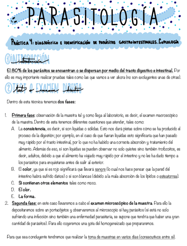 Miniatura del documento Practica-4-Coprologia.pdf