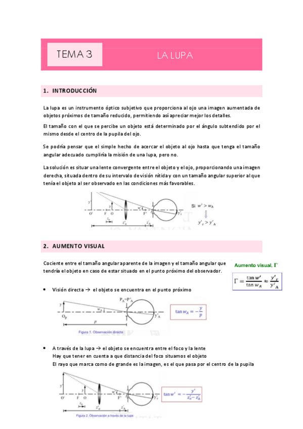 Miniatura del documento TEMA-3LA-LUPA.pdf