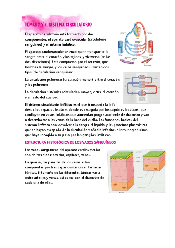 Miniatura del documento Biologia-Temas-2-y-4.pdf