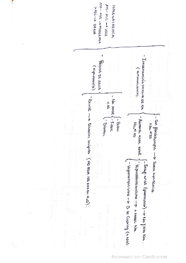 Miniatura del documento Hipernatremia.pdf