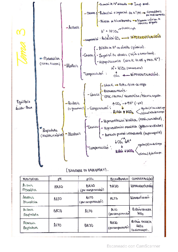 Miniatura del documento Equilibrio-acido-base.pdf
