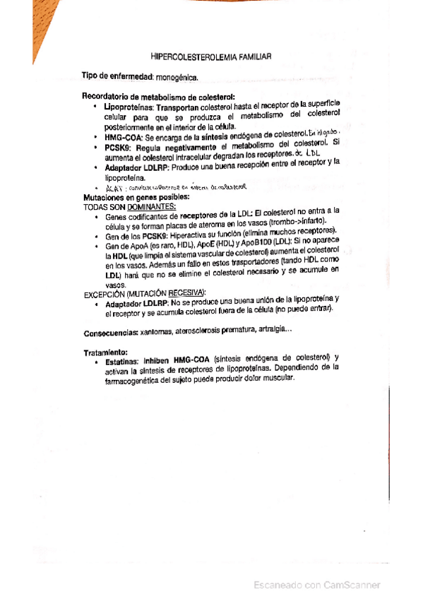 Miniatura del documento Hipercolesterolemia-familiar.pdf